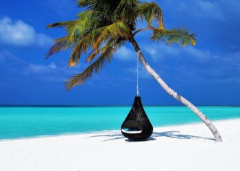 Imagen de pasja1000 en Pixabay