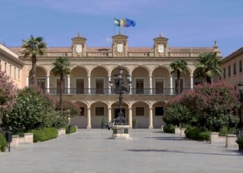La FAPE, contra el ayuntamiento de Guadix por confiar su comunicación a un familiar sin formación