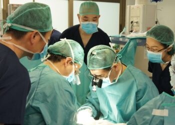 instituto cirugia plastica cirujanos japoneses