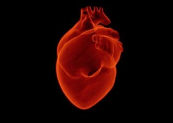 El tratamiento de los infartos se ha reducido un 40% durante el Estado de Alarma