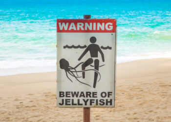 Cartel de aviso de medusas en la playa