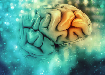 IBM y Pfizer desarrollan un modelo de IA capaz de predecir la aparición de Alzheimer