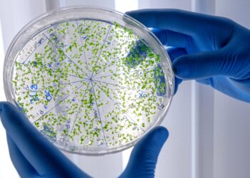 ¿Cómo evitar la resistencia bacteriana?