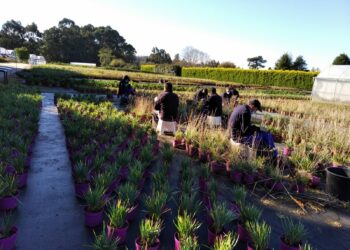 Fundación Paideia recibe el XX Premio Fundación Cofares