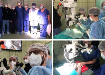 La Fundación Jiménez Díaz participa en una cirugía pionera de catarata bilateral a un simio de Faunia