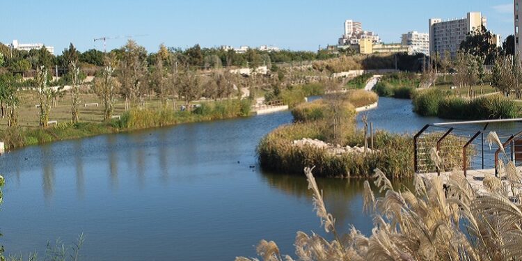 Parque urbano La Marjal en Alicante