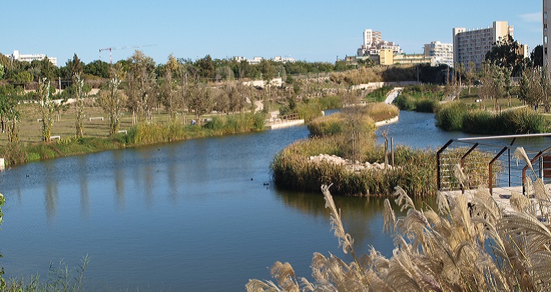 Parque urbano La Marjal en Alicante