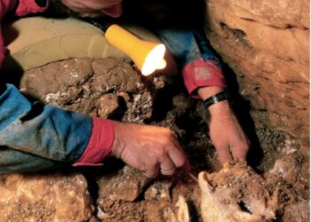 Investigadores españoles encuentran la evidencia paleontológica que demuestra que los neandentarles hablaban