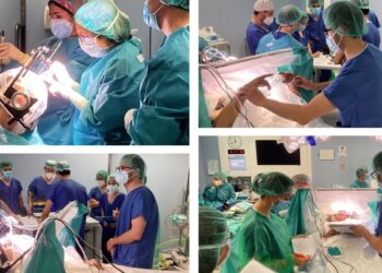 El Hospital Universitario Rey Juan Carlos realiza su primera cirugía de estimulación cerebral profunda