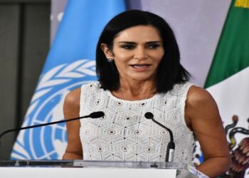 ONU exige al gobierno mexicano esclarecer el caso de la periodista Lydia Cacho