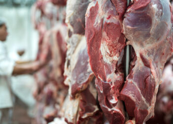 ¿Cuánta carne debemos consumir a la semana? ¿Cuál es la recomendación de los expertos?