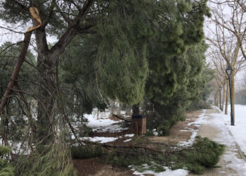 Los españoles están preocupados por el ‘cambio climático’. La frase tuvo 14.600 impactos online en agosto
