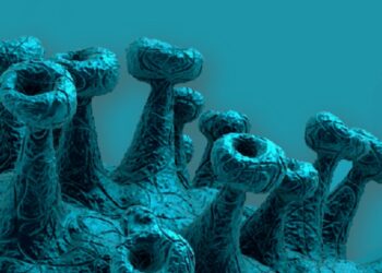 ¿Cómo asegurar los resultados de la tercera dosis de la vacuna?