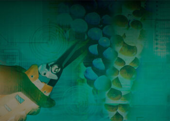 Grupo Agrovin confía en Binocular Room para el diseño de su estrategia de comunicación