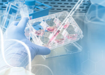 ¿En qué consisten los estudios genéticos que ayudan a prevenir el cáncer?