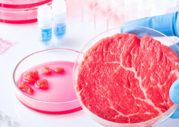 Carne de laboratorio, la nueva tendencia de los consumidores en el ámbito alimentario