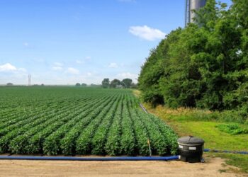 Pespsico avanza en eficacia hídrica con un nuevo sistema de riego por goteo de alta eficiencia