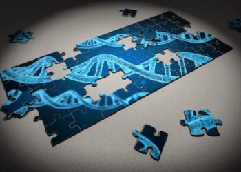 Menos del 20% de las ofertas de salud conectada se llevan a la práctica en la actualidad