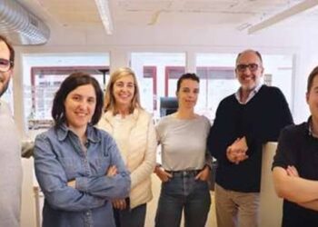 Interprofit crea un equipo especializado en comunicación energética para Efintec, Fegicat, sonnen y Holaluz