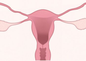El cáncer de ovario continúa afectando a más de 3.600 mujeres cada año