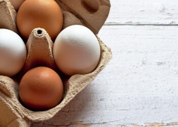 Científicos advierten de la presencia de sustancias cancerígenas en huevos camperos