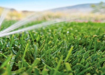 Agbar Agriculture y El IICA firman alianza para optimizar el uso del agua en el sector agrícola latinoamericano