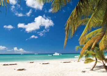 DAVID Bogotá y Corona regalan una escapada al Caribe