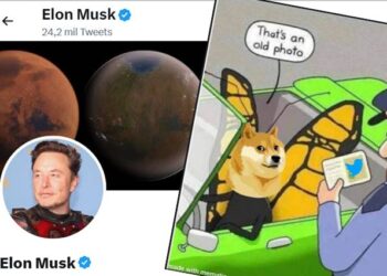 ¿Por qué el perro de Dogecoin sustituyó al pájaro de Twitter?