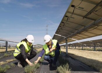 Rankings PR: Endesa lidera con su campaña ‘Proyectos transformadores’