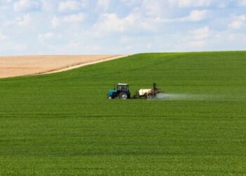 Agricultura y salud: ¿Qué pasa con el uso de pesticidas para producir alimentos en la UE?