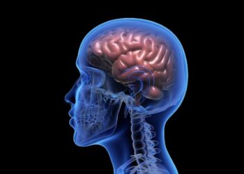 La epilepsia afecta a más de 400.000 personas en España