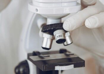 Unos microrrobots podrían ayudar en el desarrollo de tratamientos contra el cáncer