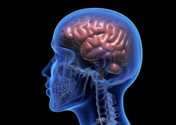 La epilepsia afecta a más de 700.000 personas en España