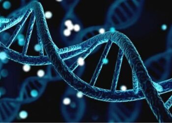 Primera aprobación mundial de una vacuna terapéutica contra el cáncer de ARNm