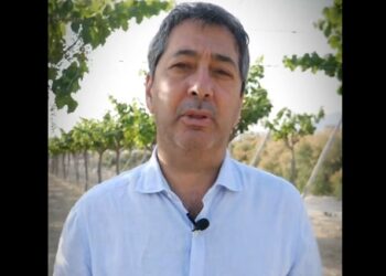 QUE BONICA QUE ÉS LA MEVA ALACANT