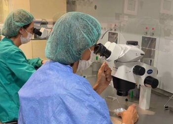 Las madres embarazadas por ovodonación influyen en el código genético de sus futuros hijos