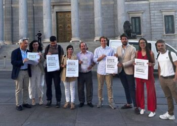 El ‘Plan de Acción por la Democracia’ de Sánchez no convence a la sociedad civil