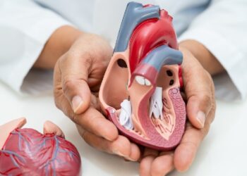 Las enfermedades del corazón,  primera causa de muerte a nivel mundial