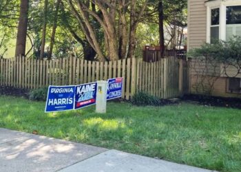 Elecciones EE. UU 2024: ¿Confían los votantes en el recuento de votos?