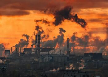 Los hábitos digitales de los clientes de Telefónica evitan casi 70 millones de toneladas de CO2