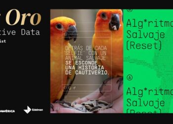 Edelman, entre las agencias españolas galardonadas en el Ojo de Iberoamérica