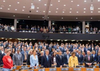 DANA en España: El homenaje y la flexibilización del Parlamento Europeo