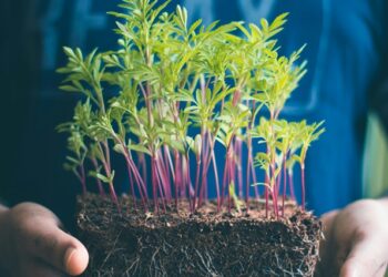 Corporate Excellence y la Universidad de Navarra presentan un libro dirigido a directivos de Comunicación