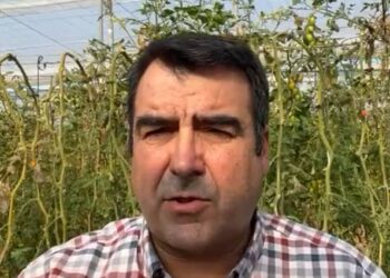 Así reacciona el sector agrario a la subida del SMI: “Subirán los costes de producción”