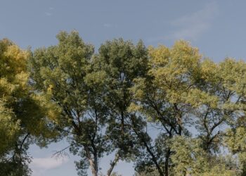 Los profesionales de la comunicación son necesarios para transformar una estrategia de sostenibilidad en resultados tangibles