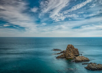 Valencia cuida su Mediterráneo
