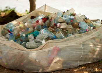 ¿Dónde queda la narrativa ESG?