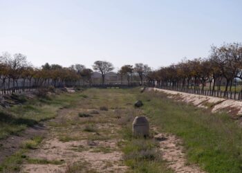 El Ayuntamiento publica la licitación de la obra de renaturalización de la Rambla Sur de Torre Pacheco
