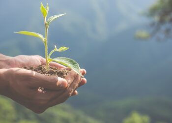 Contrarreforma ESG y desregulación: ¿qué va a pasar con la comunicación de la responsabilidad social?