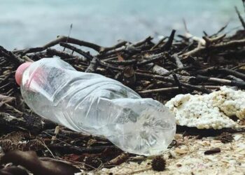 Cómo el deterioro ambiental afecta a nuestra salud